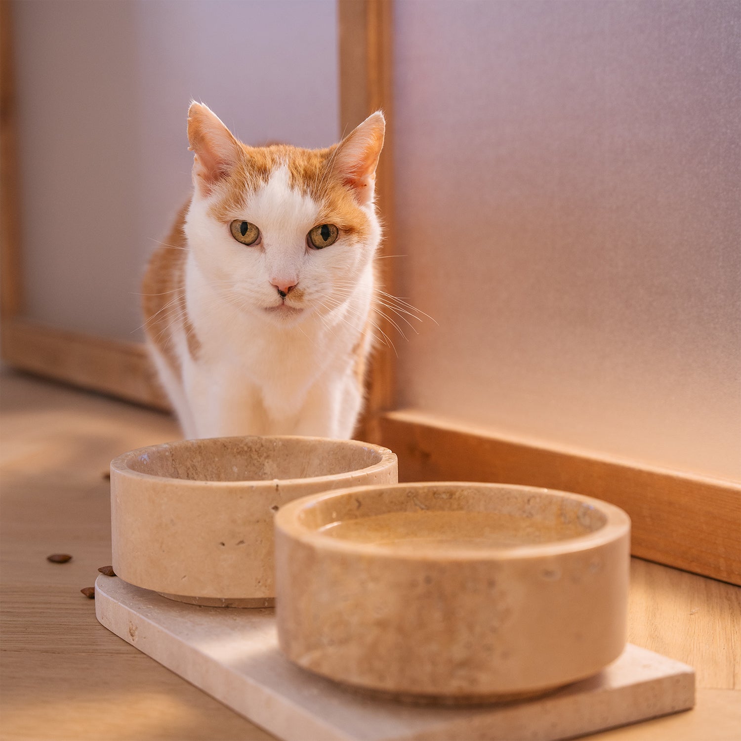 TRAVERTINE PET BOWL SET