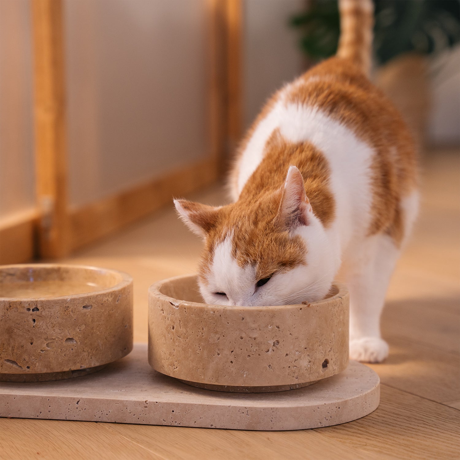 TRAVERTINE PET BOWL SET