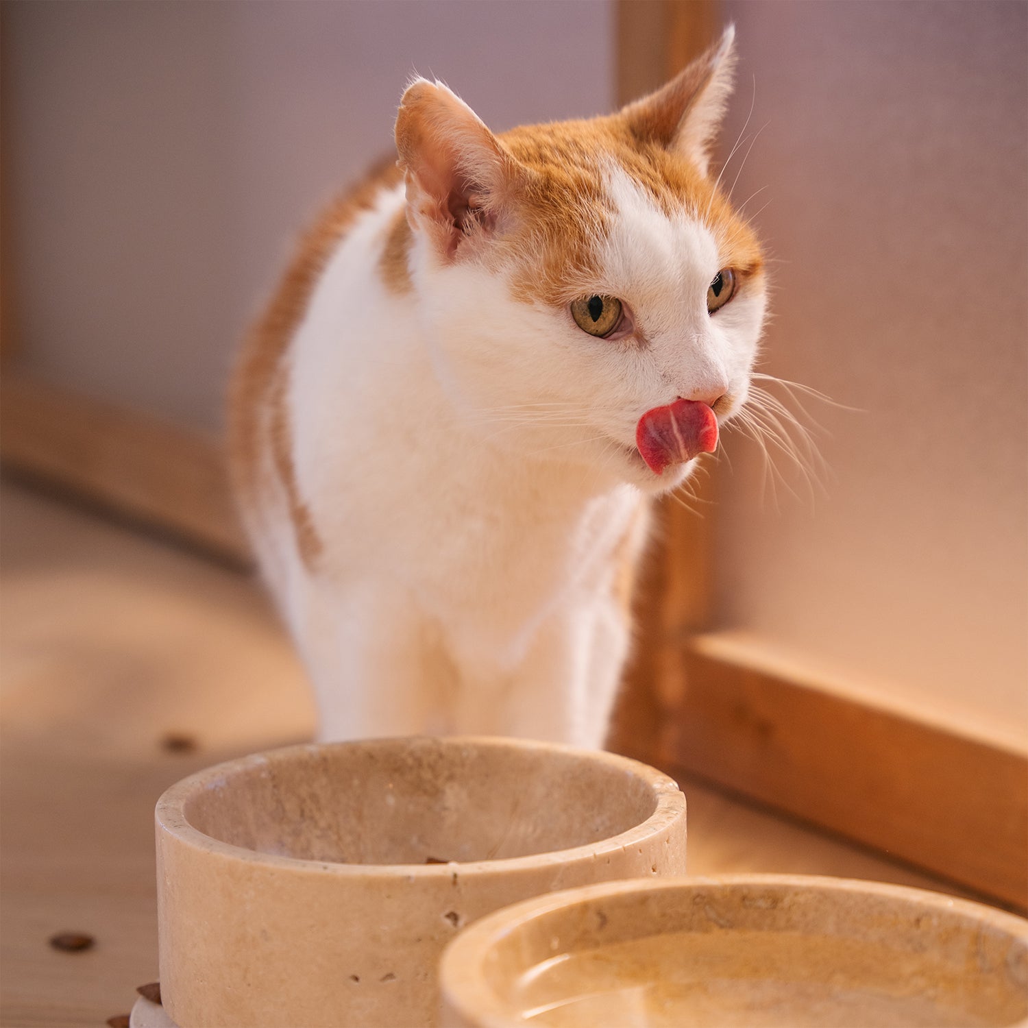 TRAVERTINE PET BOWL SET