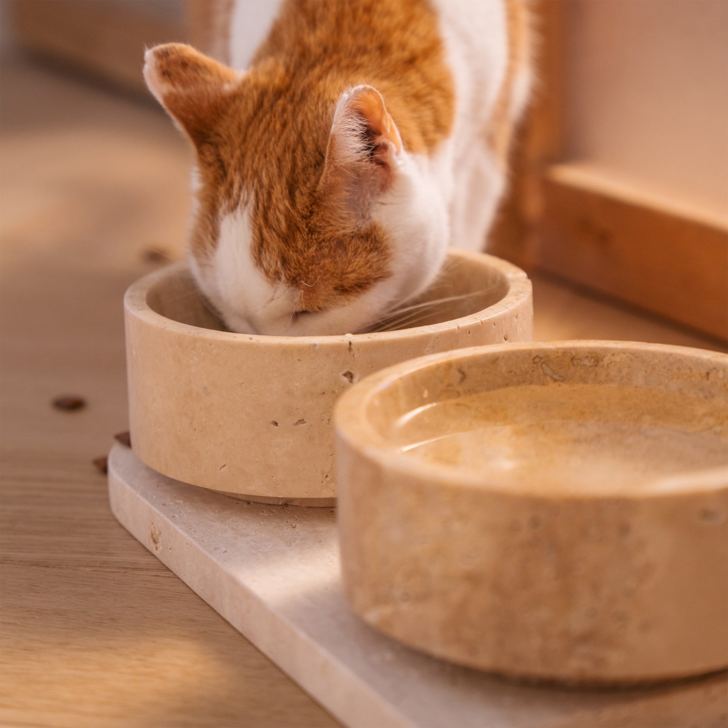 TRAVERTINE PET BOWL SET